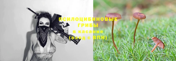 Альфа ПВП Алексеевка