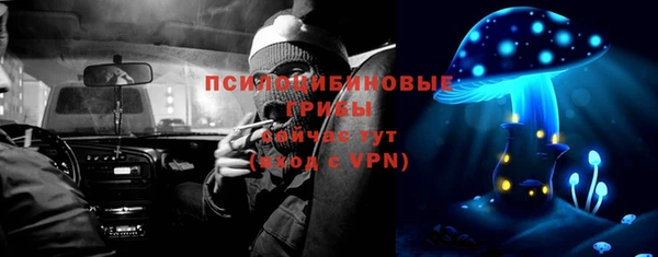 прущие крисы Алексин