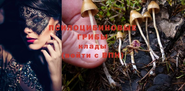 Альфа ПВП Алексеевка