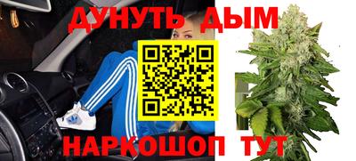 крисы Апшеронск