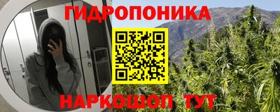 крисы Апшеронск